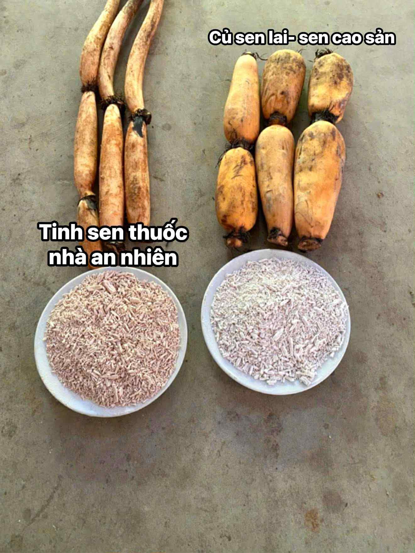 02c8aa5f-6f8d-40e0-827a-fe549c8b5af7