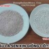 Tinh bột củ sen hồng cận cảnh