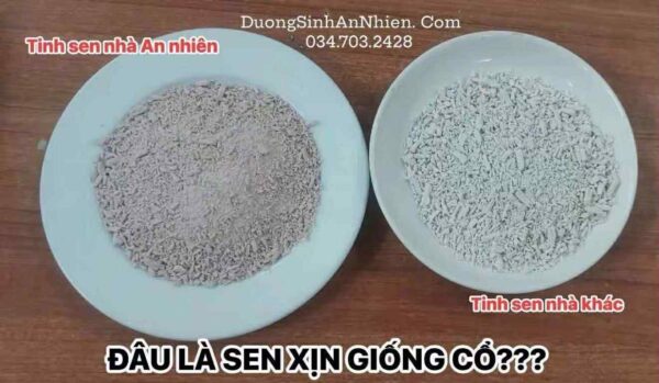 Tinh bột củ sen hồng cận cảnh