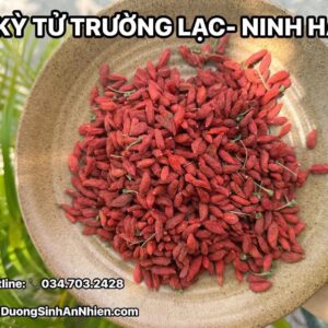 KỲ TỬ THƯỢNG HẠNG(order 5-7 ngày)