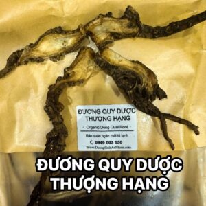 ĐƯƠNG QUY DƯỢC CHÍNH PHẨM (DẠNG LÁT)