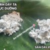 Tinh bột sắn dây cận cảnh