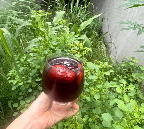 Hồng táo bụi hữu cơ ảnh tham khảo