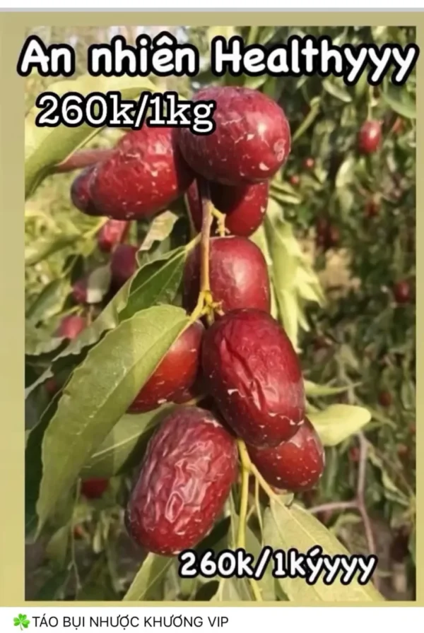 Hồng táo bụi hữu cơ góc chụp khác