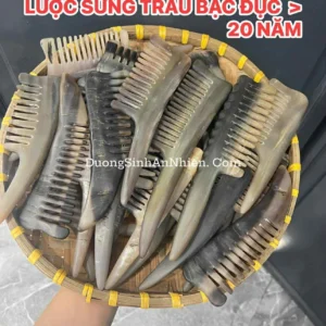 Lược sừng trâu bạc đực trên 20 năm