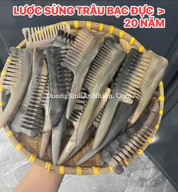Lược sừng trâu bạc cận cảnh