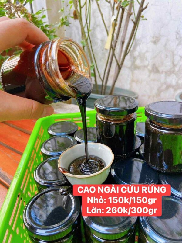 CAO NGẢI CỨU RỪNG màu sắc tự nhiên