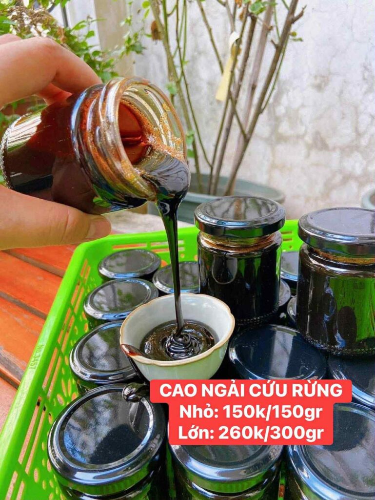 Cao ngải cứu – ảnh thực tế 1