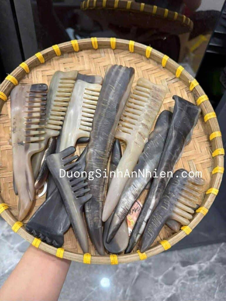 Lược sừng trâu – ảnh thực tế 3