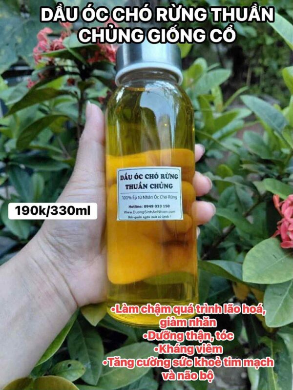 Dầu óc chó cận cảnh