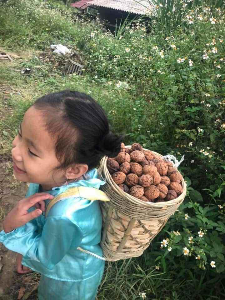 06579707-0793-4220-8102-d09335ea7c40