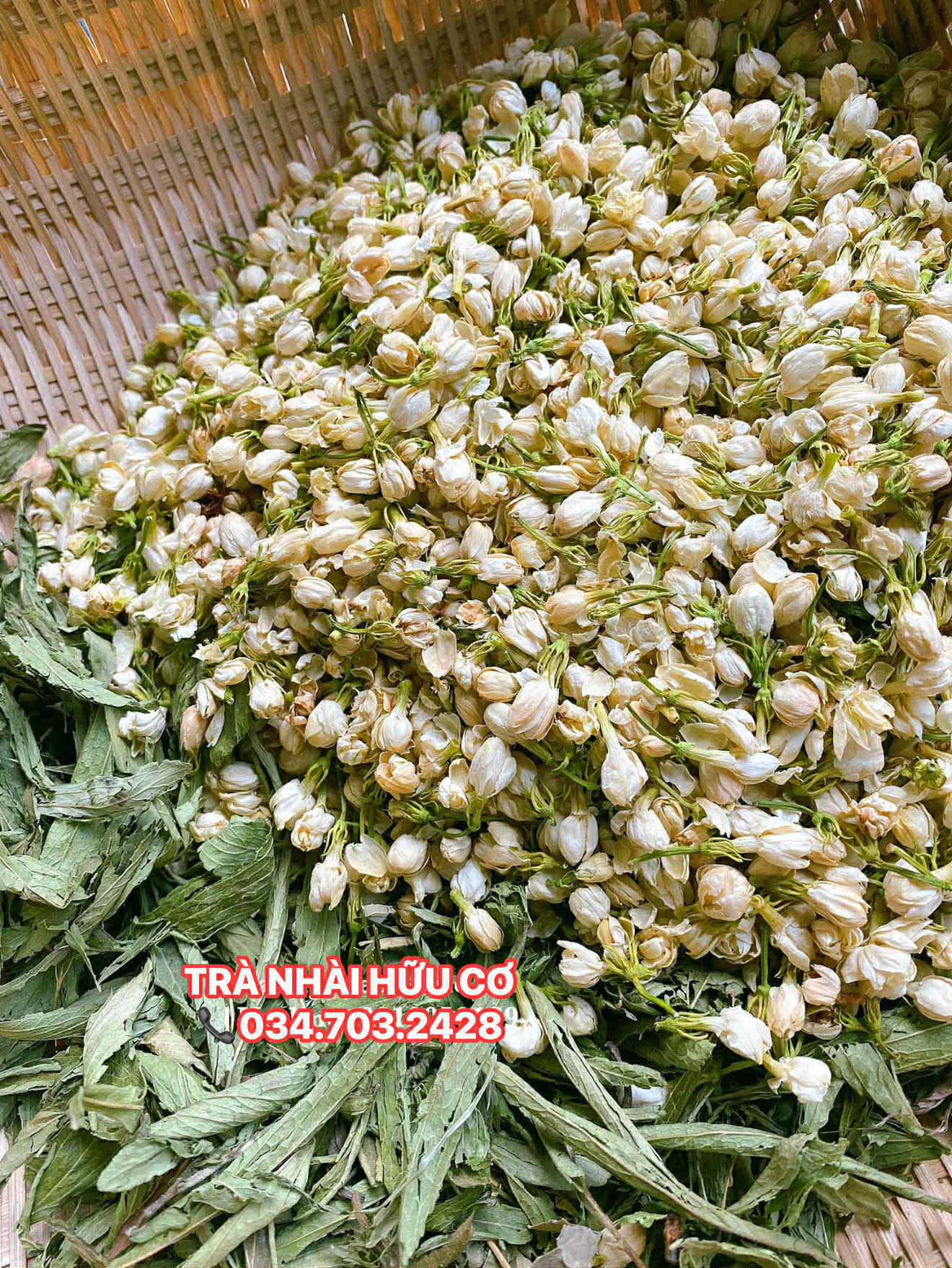 10f6199e-fdb2-45df-a902-dd58107207da