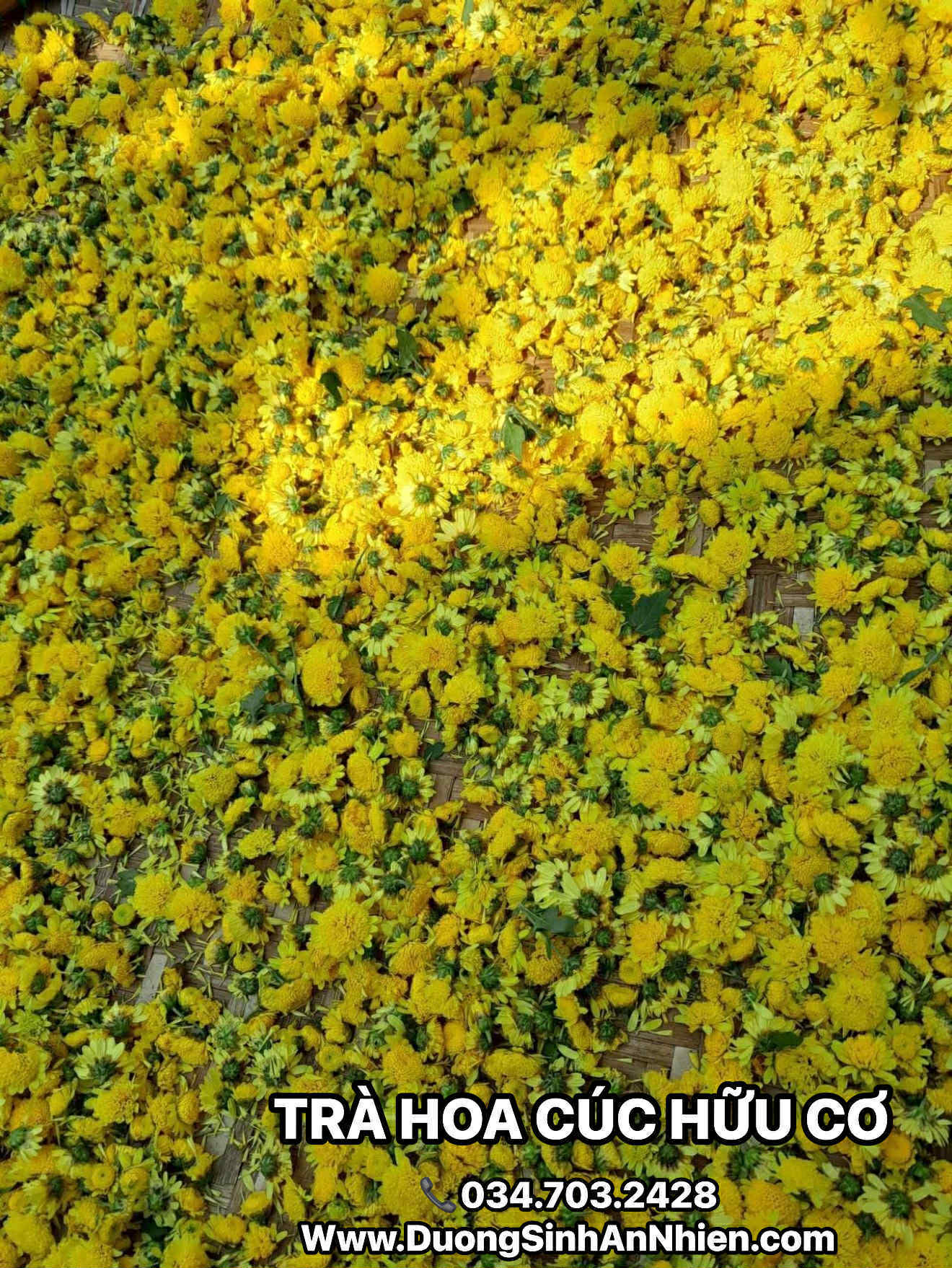 1425eb75-dc9c-4a41-ade6-a312c5991965