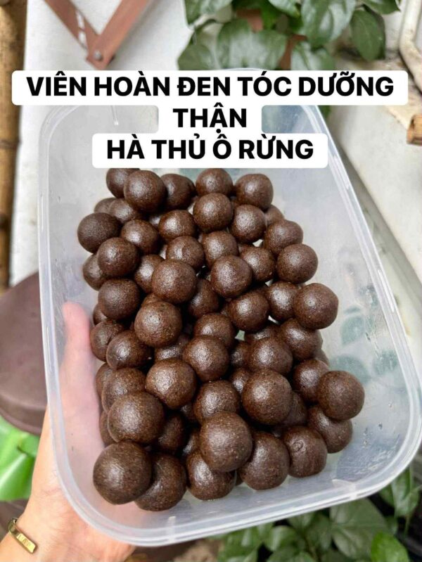 VIÊN HOÀN ĐEN TÓC HÀ THỦ Ô RỪNG Hũ 500Gr quy cách đóng gói