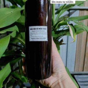 DẦU GỘI CỎ MẦN TRẦU LÊN MEN