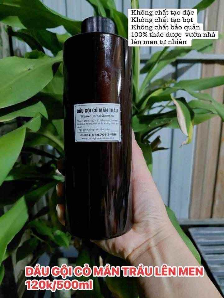 DẦU GỘI CỎ MẦN TRẦU LÊN MEN