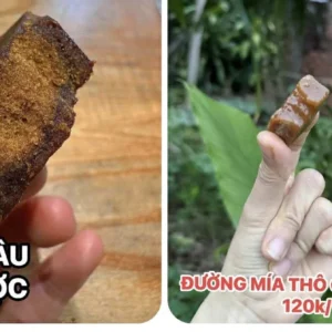 Combo : hồng táo bụi hữu cơ- đường nâu thảo dược- đường gừng sả muối