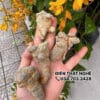 ĐIỀN THẤT NGHỆ HÀNG DƯỢC 200GRAM [Tiêu u- Dưỡng huyết- Tán Huyết hư] quy cách đóng gói