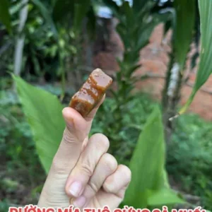 Đường mía thô muối gừng sả