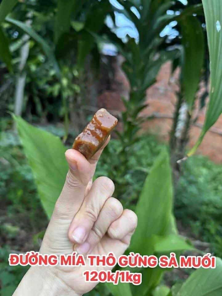 2ee20eb5-88e2-4eff-87c4-c1987535cb2f