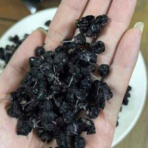 HẮC KỲ TỬ HOANG DÃ SÀI MỘC ĐẠT 50GRAM