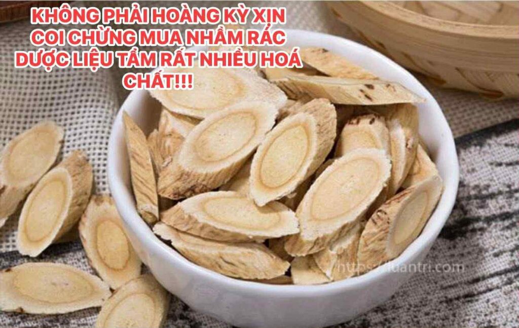 Hoàng kỳ – ảnh thực tế 3