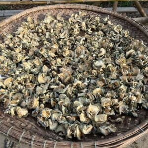 TRÀ BÍ  CỔ THUẦN CHỦNG SAO THƠM HẠ THỔ CHUẨN DƯỠNG SINH 200Gr