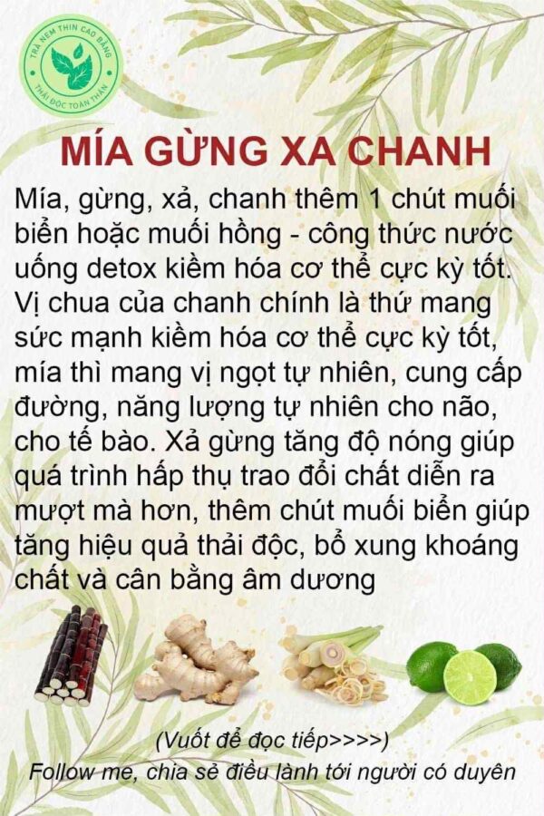 ĐƯỜNG MÍA THÔ MUỐI GỪNG SẢ 1KG[Hàng Order] màu sắc tự nhiên