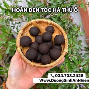 VIÊN HOÀN ĐEN TÓC HÀ THỦ Ô RỪNG