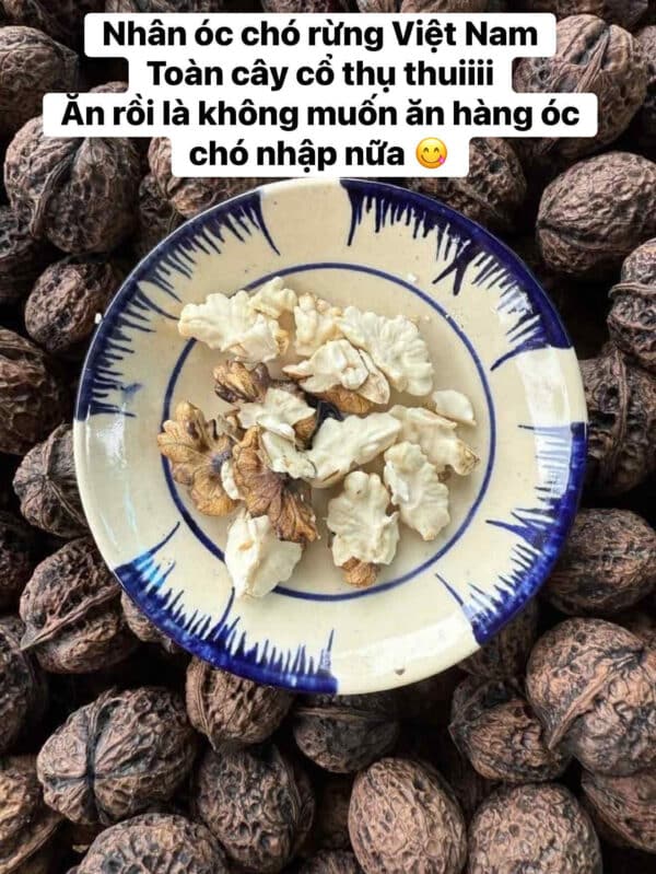 Nhân óc chó rừng cận cảnh