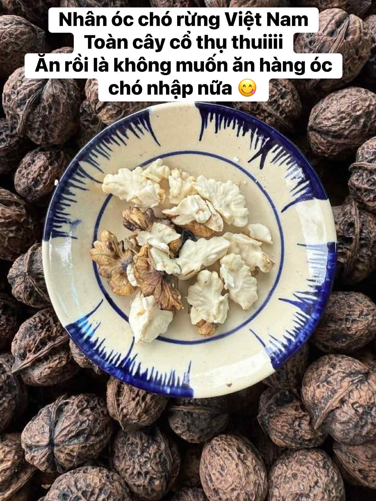 b31e626f-b8cd-4284-a3b7-fd6ae6f7c048