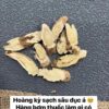 HOÀNG KỲ HOANG DÃ HÀNG DƯỢC (hàng order) màu sắc tự nhiên