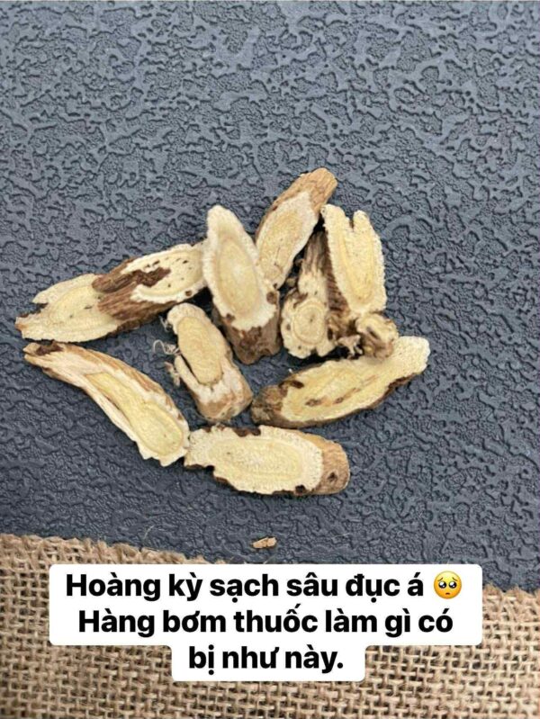 HOÀNG KỲ HOANG DÃ HÀNG DƯỢC (hàng order) màu sắc tự nhiên