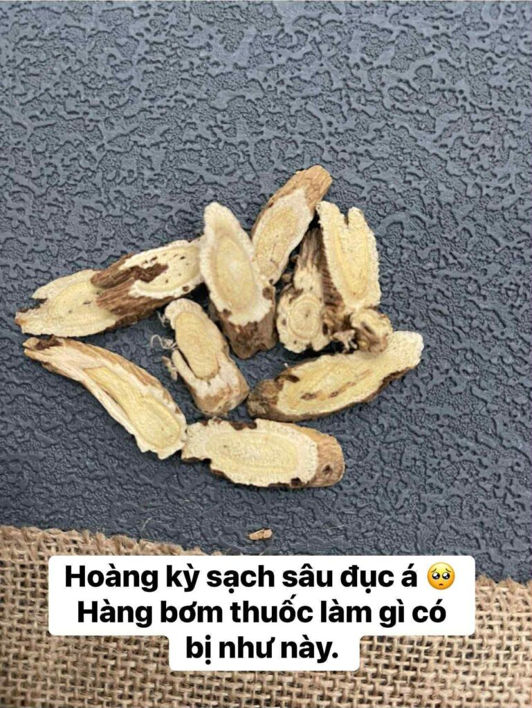 Hoàng kỳ – ảnh thực tế 1