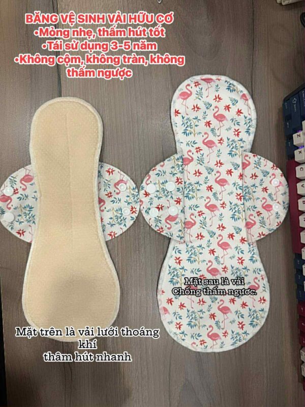 Băng vệ sinh vải hữu cơ cận cảnh