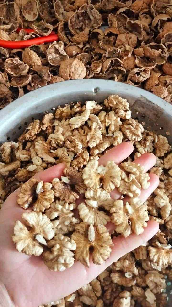 d8e7bf3a-5633-480c-bbb1-2e96bdfd2f40