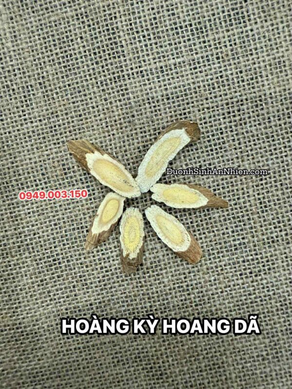 Hoàng kỳ hoang dã cận cảnh
