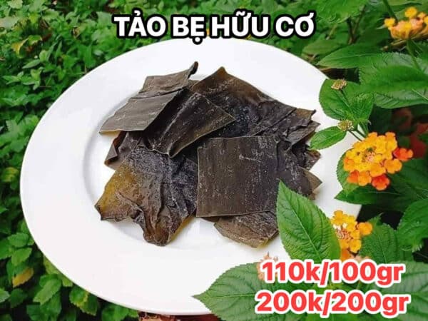 Tảo bẹ hữu cơ cận cảnh