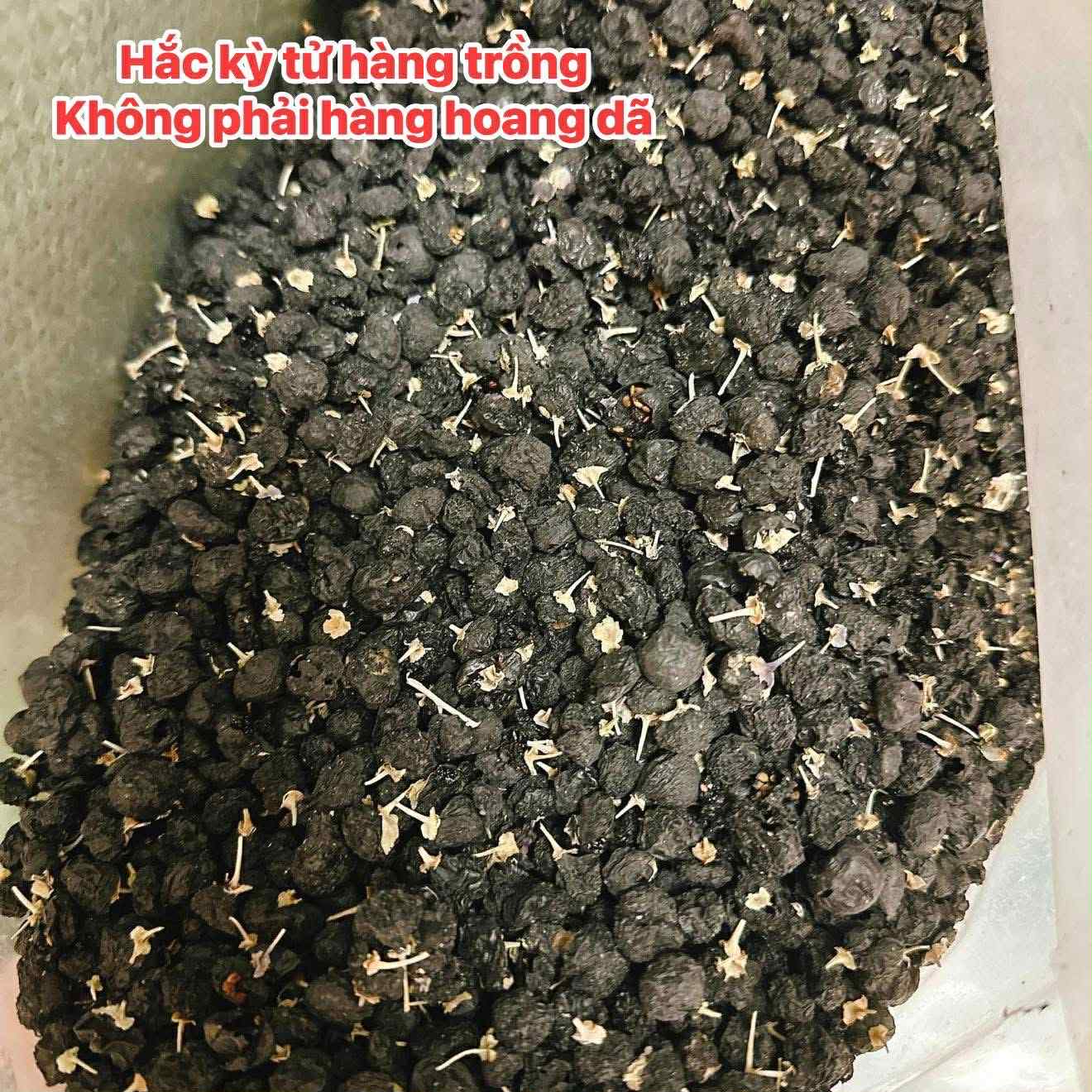 f48bef02-9bd4-4c65-9527-29a42c4b97c4