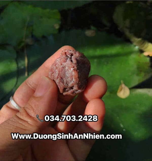 Mơ muối Umeboshi THỰC DƯỠNG 500Gr khi pha, nấu