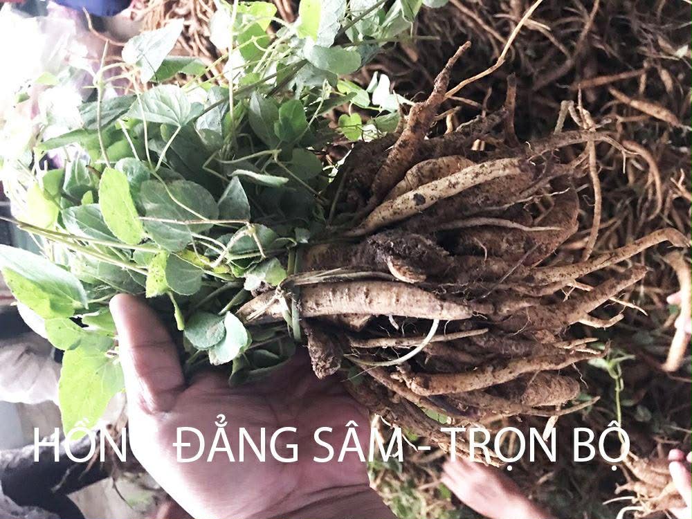 22dc9afa-a8f9-418e-99fb-345d5bd55aa3