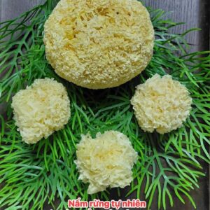 NẤM TUYẾT RỪNG HOANG DÃ KHÔNG TẨY 100GR