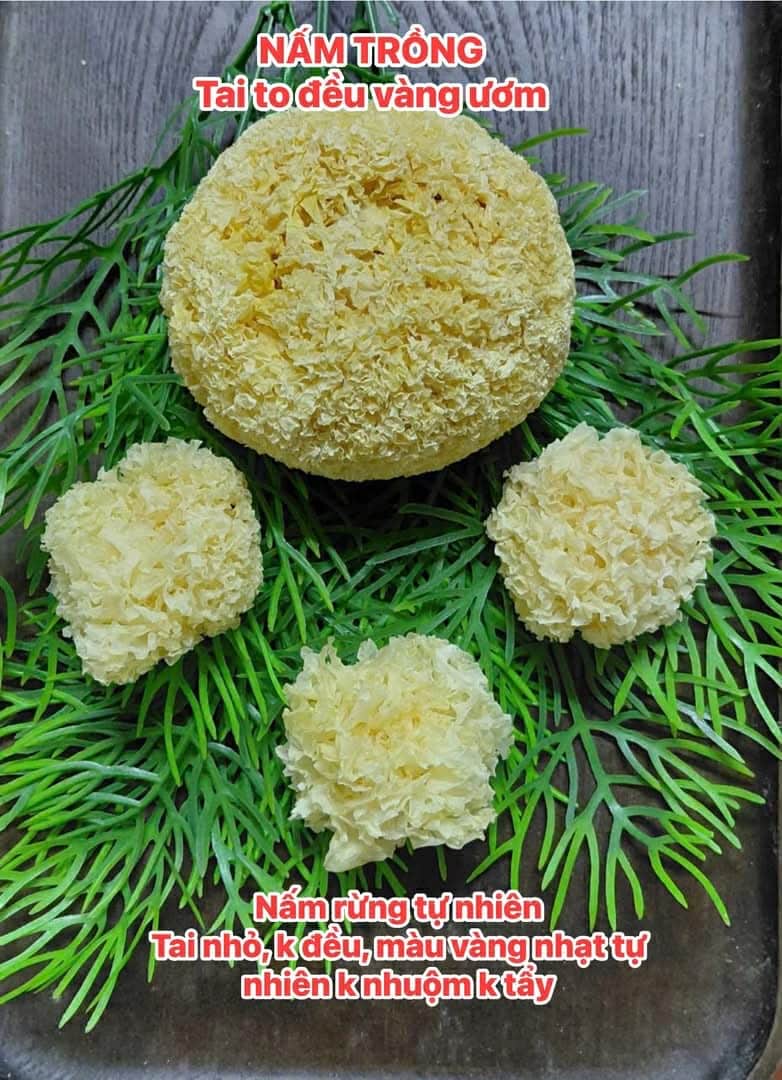 NẤM TUYẾT RỪNG HOANG DÃ KHÔNG TẨY 100GR