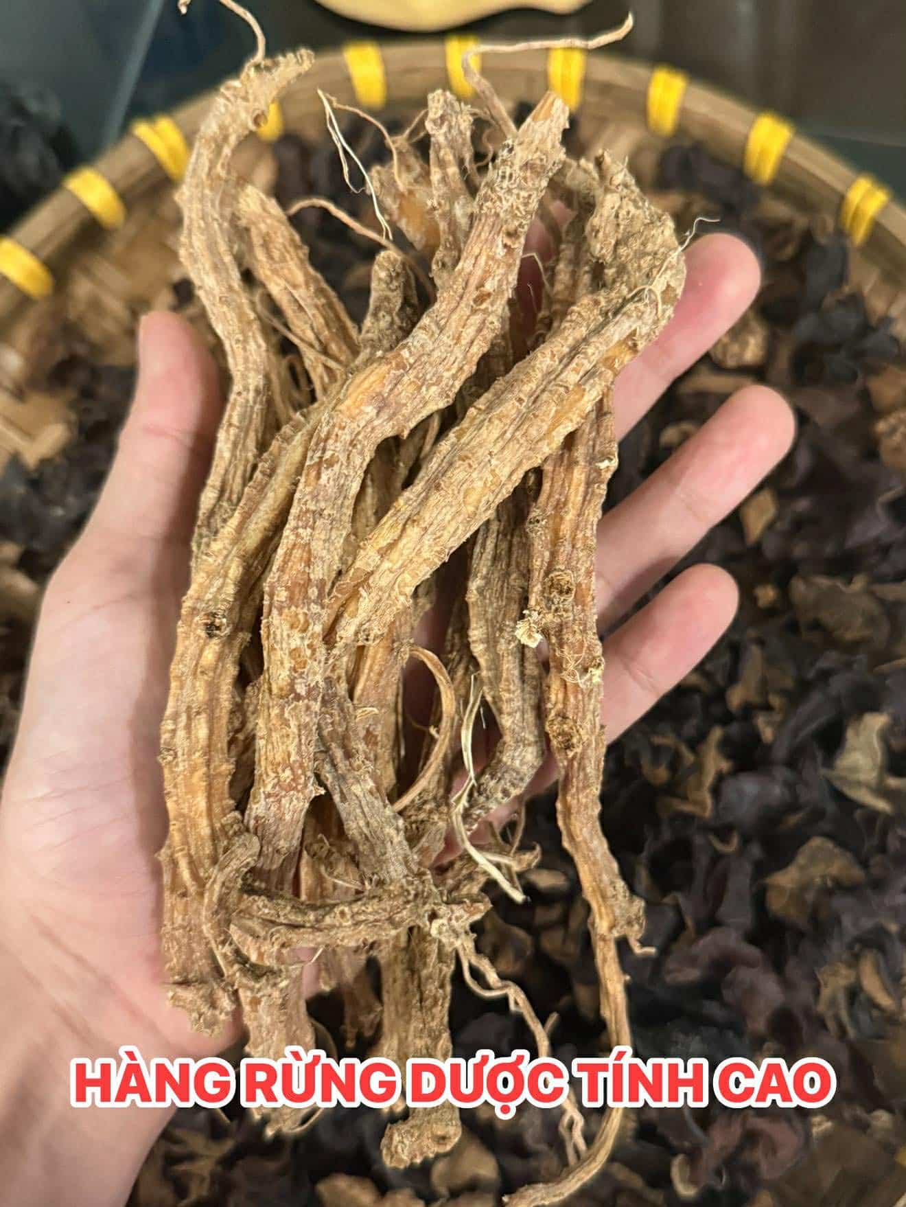 HỒNG ĐẲNG SÂM RỪNG HÀNG DƯỢC 100Gr