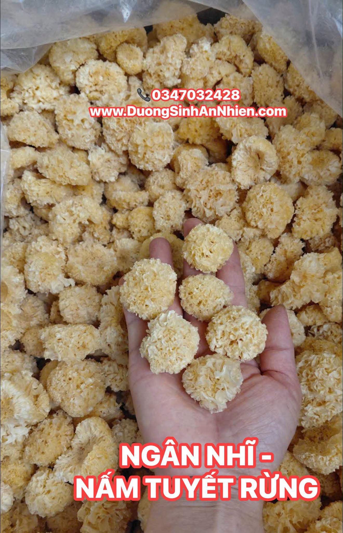 NẤM TUYẾT RỪNG HOANG DÃ KHÔNG TẨY 200GR (HÀNG ORDER)