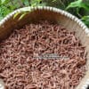 MẠCH MÔN HOANG DÃ 200GR màu sắc tự nhiên