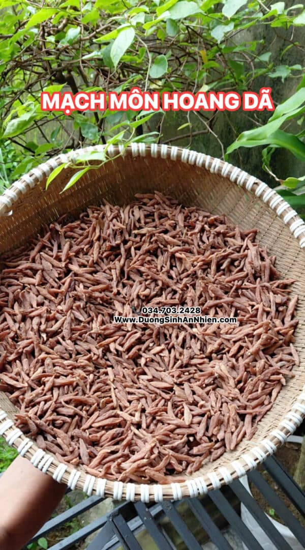 MẠCH MÔN HOANG DÃ 200GR màu sắc tự nhiên