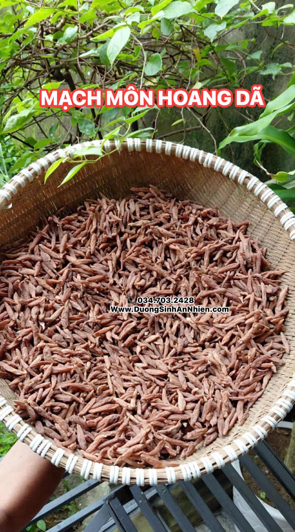 9bd97db0-aa60-4423-9e05-48274413b3fd