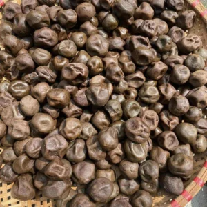 Chanh muối thực dưỡng lâu năm( 8 năm)