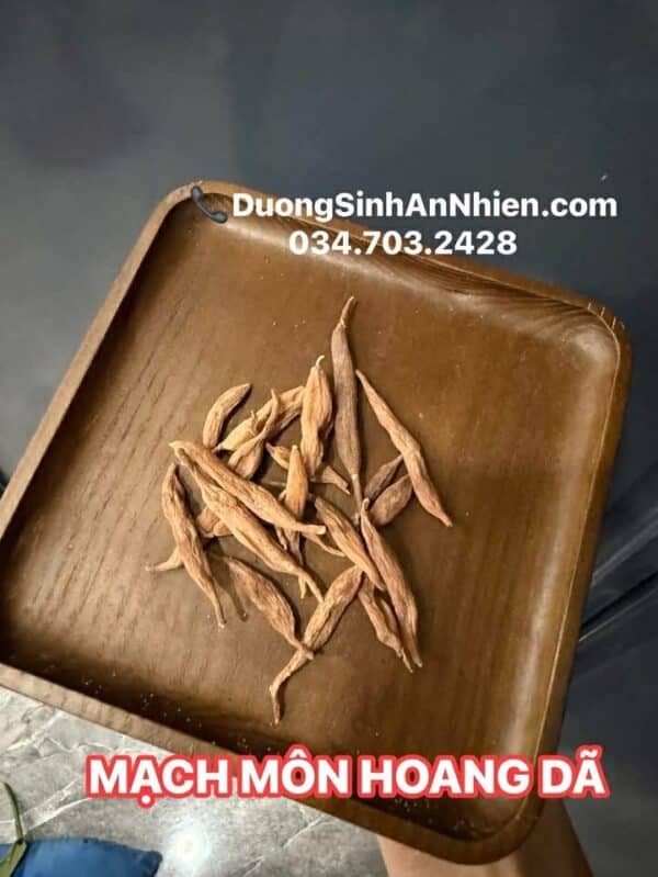 Mạch môn hoang dã cận cảnh